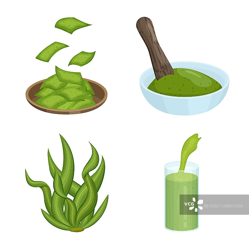 螺旋藻和海藻符号设计图片素材