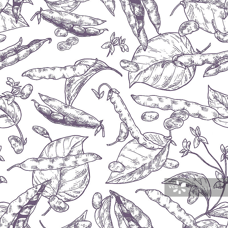 不同豆荚和谷物单色照片图片素材