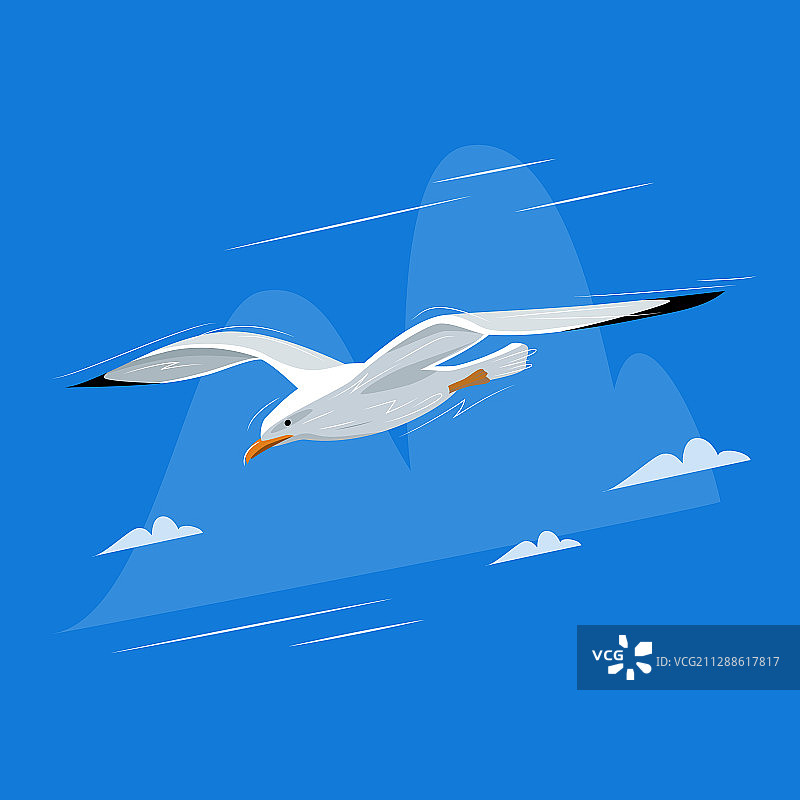 蓝色背景上的海鸥图片素材