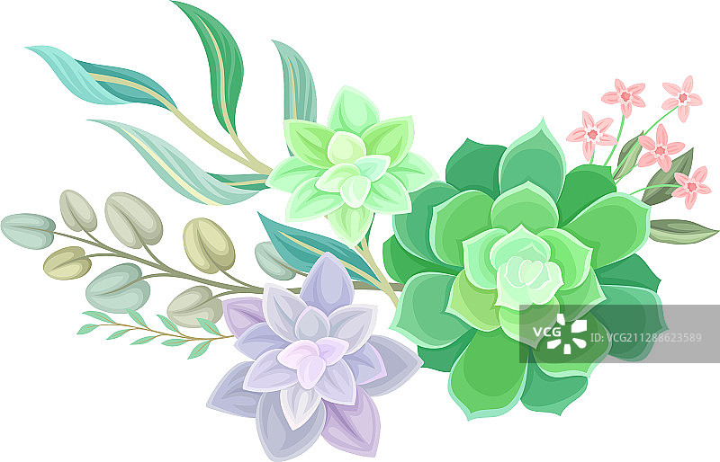 多肉植物花卉布置套装图片素材