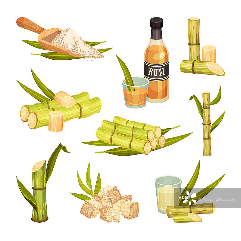 带叶的甘蔗无分支茎图片素材