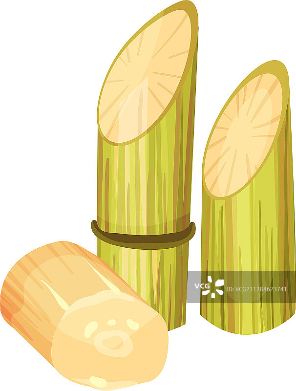 砍伐和光秃的甘蔗茎图片素材