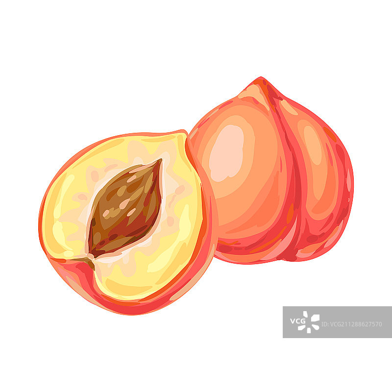 成熟的桃子和切片图片素材