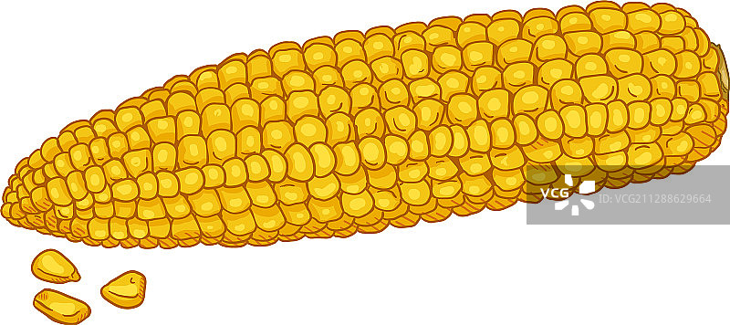 卡通黄色玉米棒图片素材