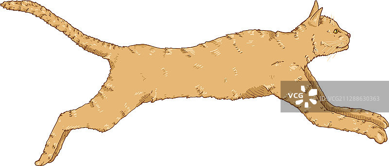 奔跑的卡通猫图片素材