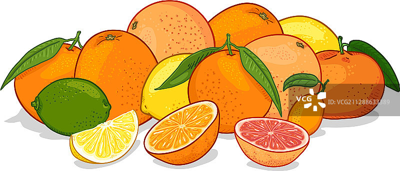 卡通柑橘水果套装图片素材