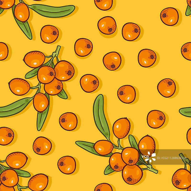 无缝海 buckthorn 浆果图案图片素材