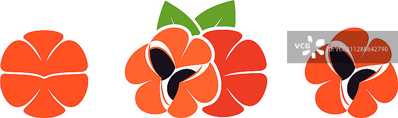 瓜拉那图片素材