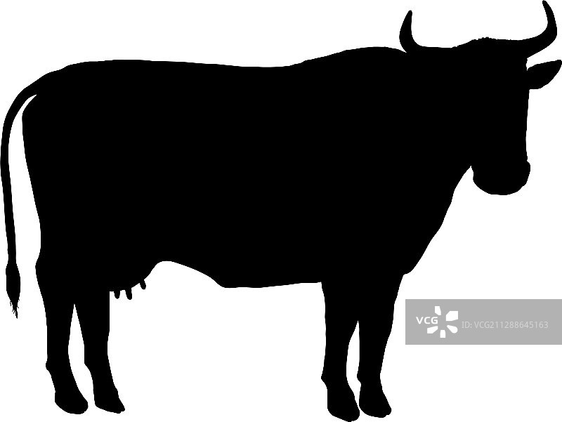 奶牛轮廓剪影图片素材