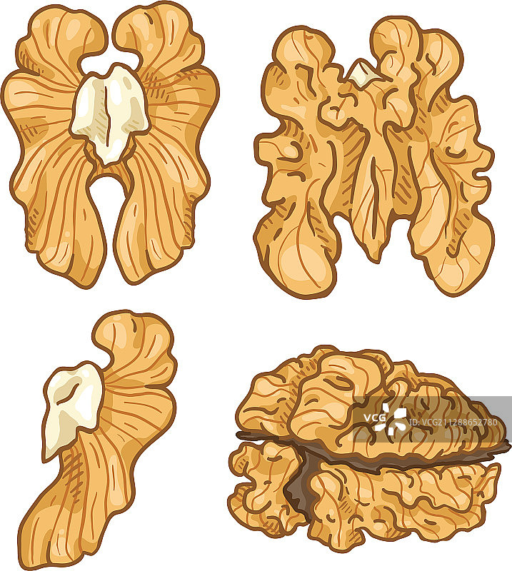 卡通彩色去皮核桃套装图片素材