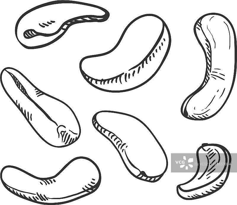 腰果素描套装图片素材