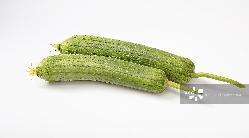 两条丝瓜图片素材