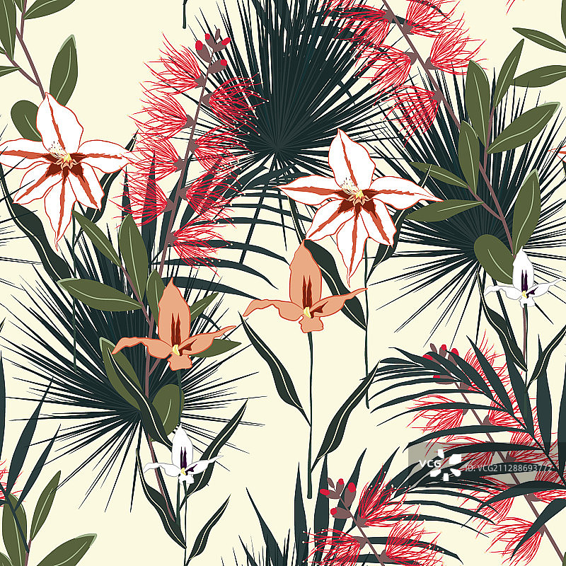 丛林植物热带背景图片素材