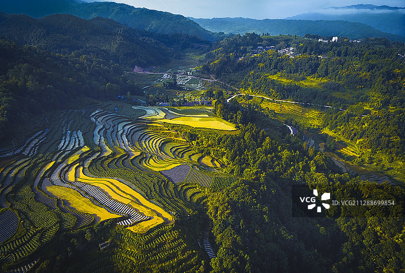 苦竹奇观3图片素材