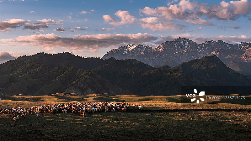 天山晨曦  Morning of Tianshan Moun图片素材