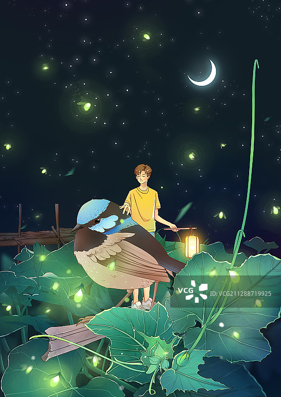 夏夜大暑图片素材