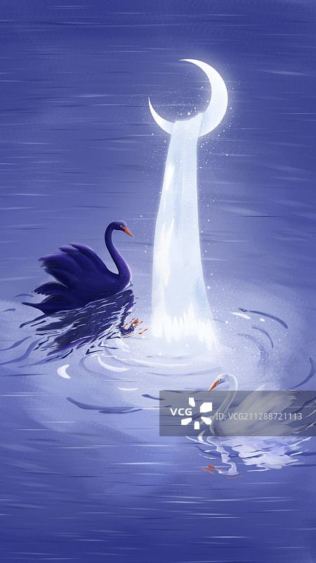 蓝紫色背景的月亮与瀑布下的一对黑白天鹅图片素材
