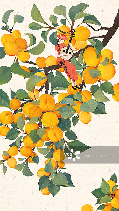 小暑节气 黄杏 黄桃图片素材