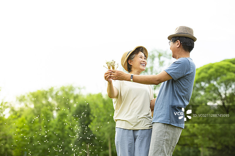 老年夫妻一起吹蒲公英嬉戏在户外公园图片素材