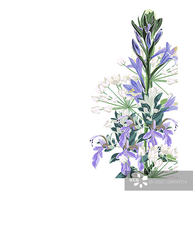 优雅的野花花束贺卡图片素材