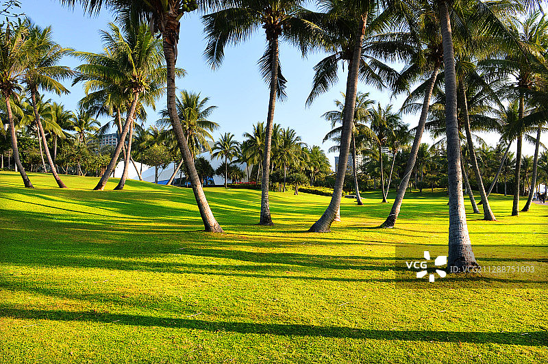 2020年01月21日，海南风光；陵水，清水湾。图片素材