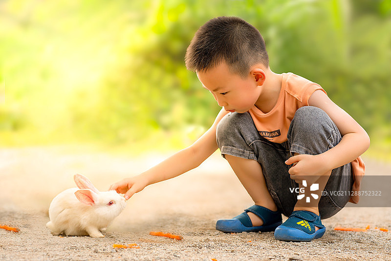 小孩与小兔图片素材