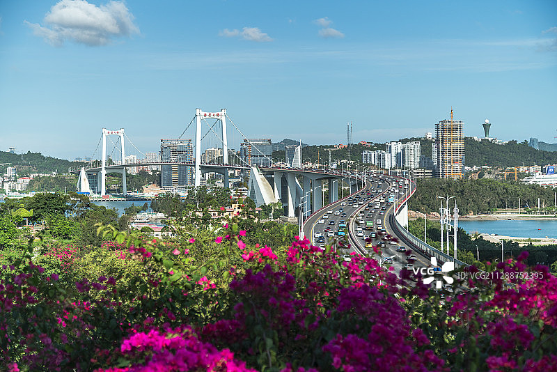 海沧大桥图片素材