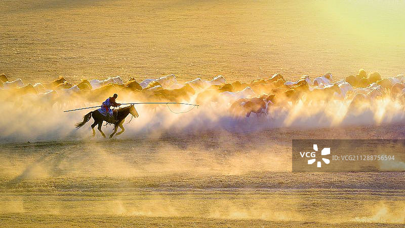 金秋套马图片素材