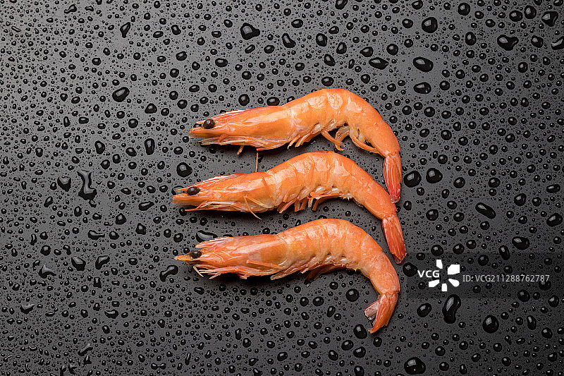 北极虾图片素材