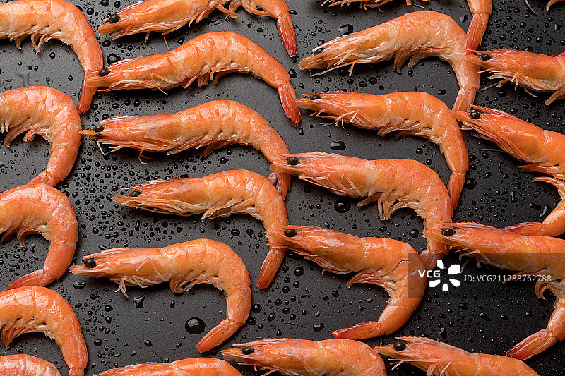 北极虾图片素材