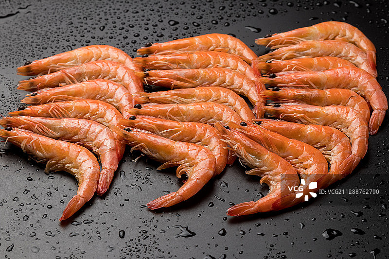 北极虾图片素材