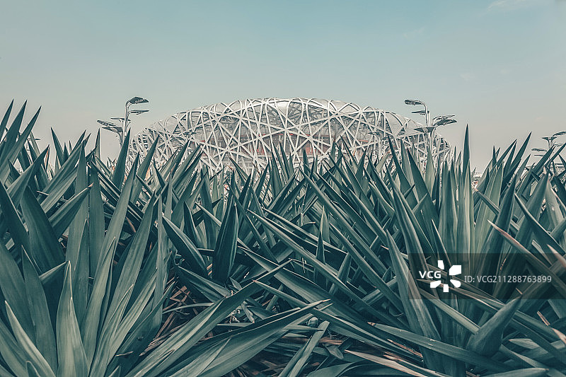 中国北京市：国家体育场（鸟巢）图片素材