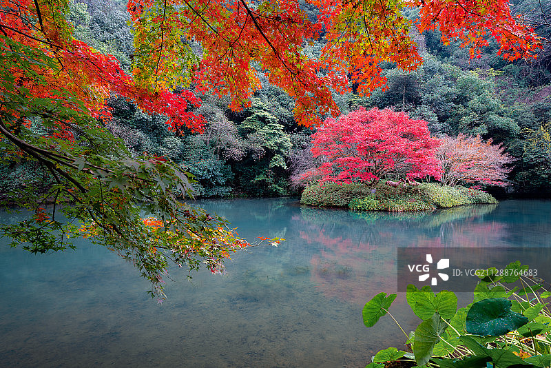杭州西湖九溪烟树秋景图片素材