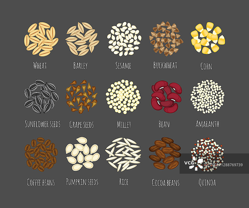 不同种子和谷物合集图片素材