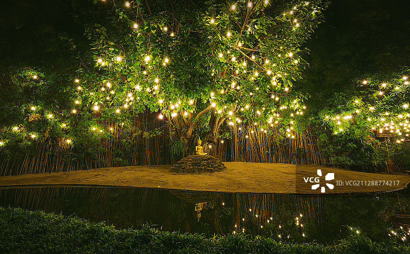 菩提树下图片素材