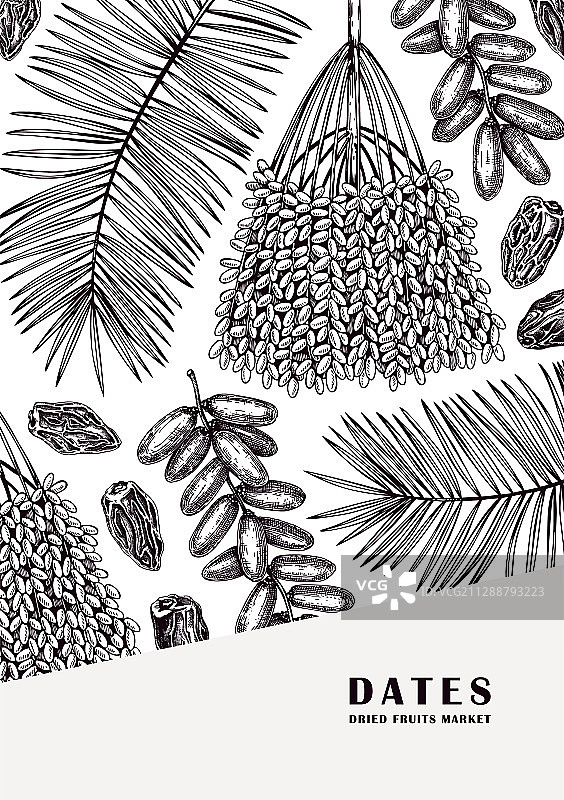 手绘枣椰树叶与新鲜及脱水水果图片素材