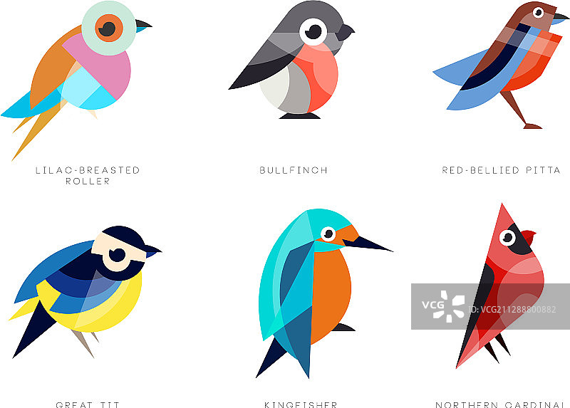 彩色风格化鸟类集合：紫胸佛法僧图片素材