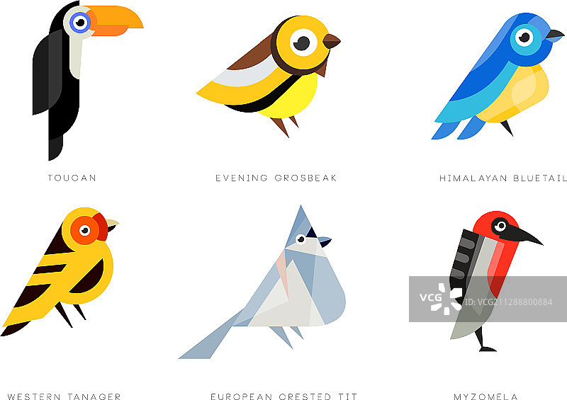 彩色风格化鸟类集合：巨嘴鸟图片素材