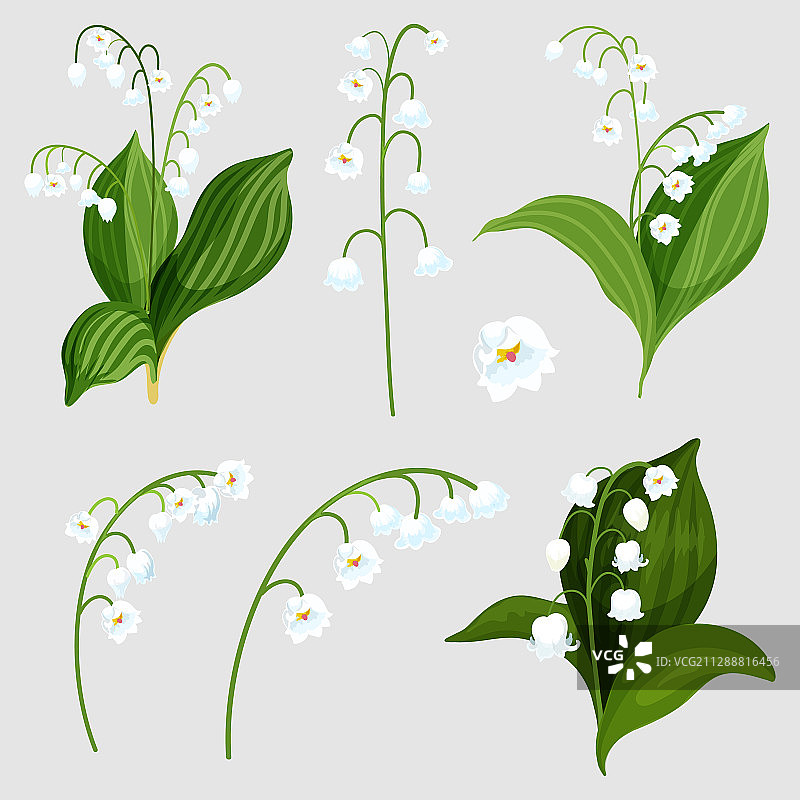 铃兰花束元素图片素材