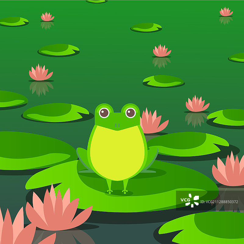 坐在睡莲叶子上的可爱池塘青蛙图片素材