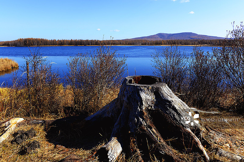 阿尔山秋色图片素材