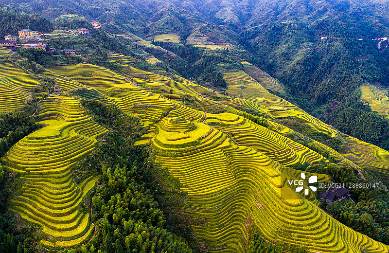 龙脊梯田图片素材