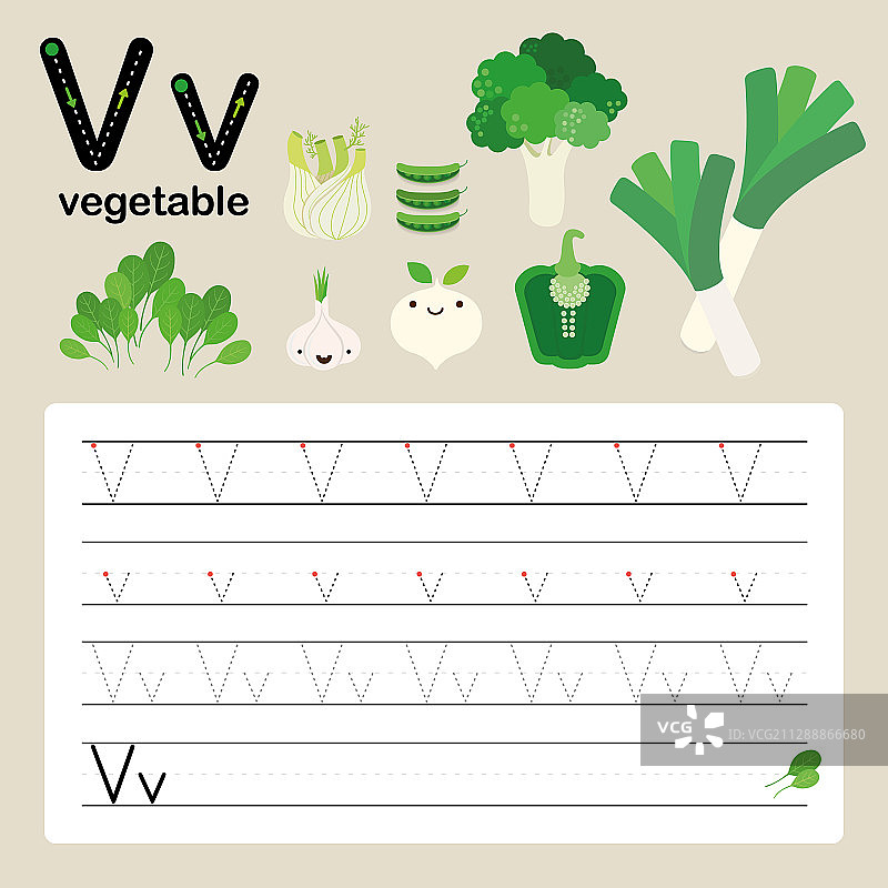 字母V英语词汇学习单图片素材