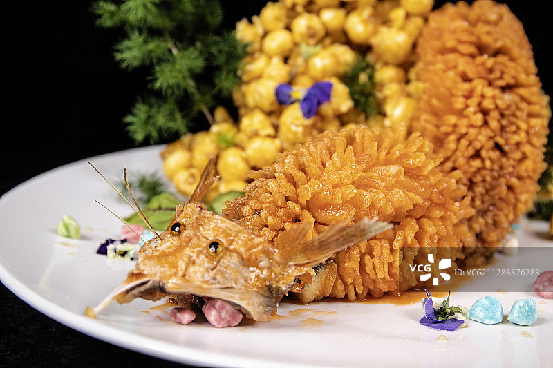 松鼠鱼图片素材