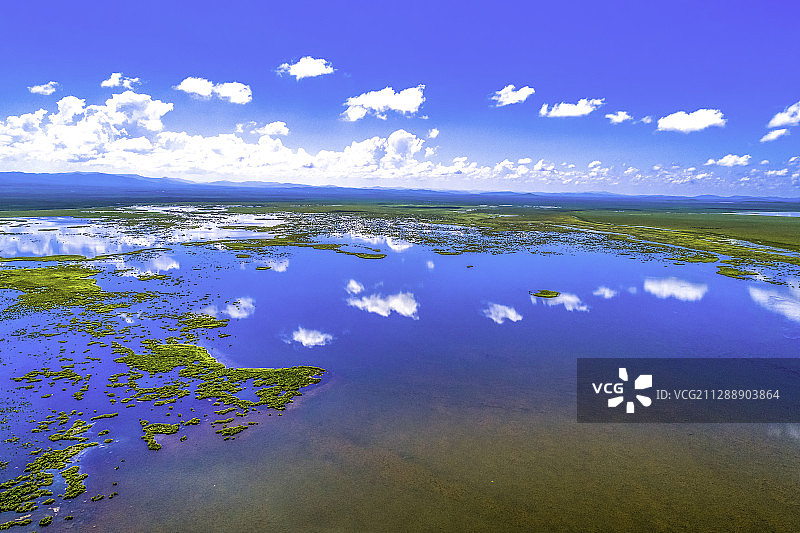 诺尔盖草原图片素材