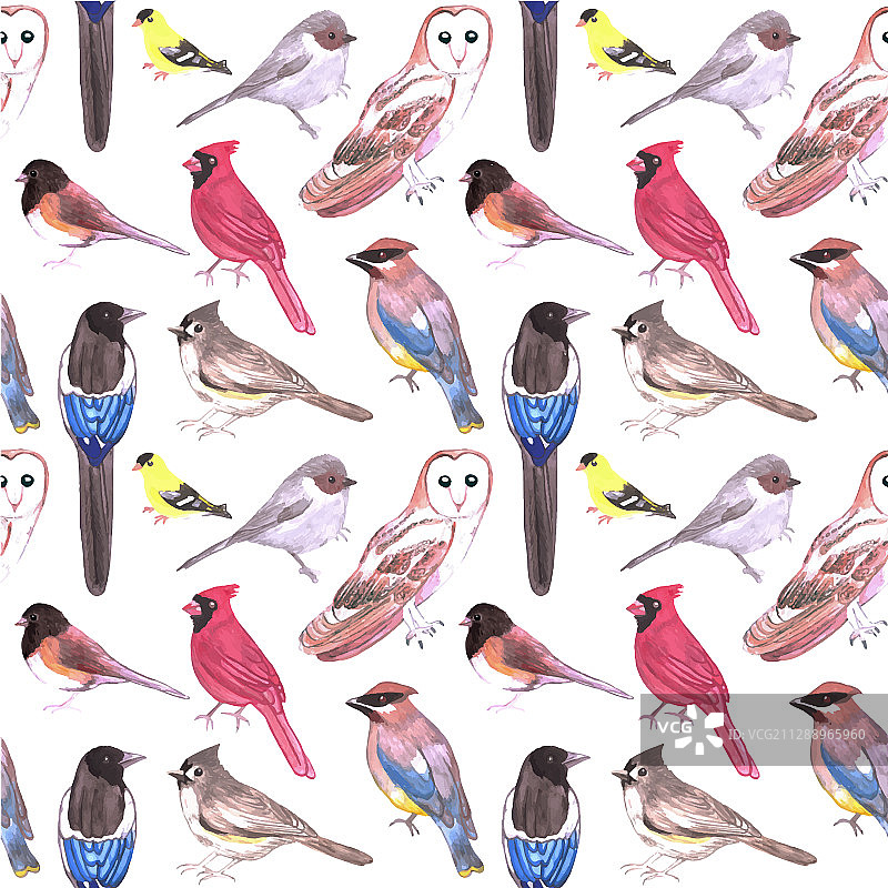 野生鸟类水彩无缝背景图片素材