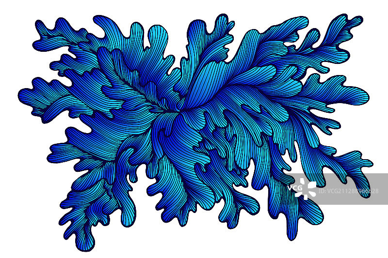 复古彩色错综复杂的抽象植物图片素材