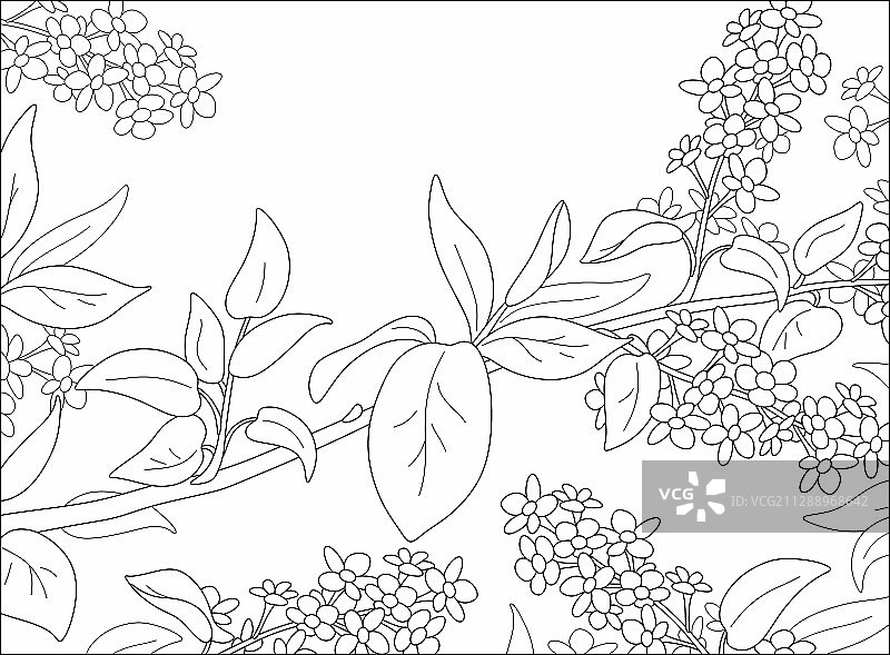 鲜花树枝图片素材