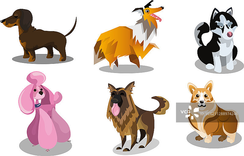 有趣的可爱犬种素材图片素材