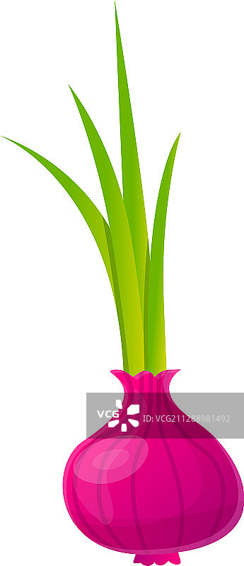 卡通风格的花园紫洋葱图标图片素材